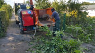 Entsorgung Astwerk schreddern